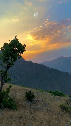 benim meskenim dağlardır🌄#❤️🖤beniöneçıkarkeşfet #memleketiniz_neresi_yoruma😊👈 #dağlar⛰️🌼🌸 #keşfeteyizzzzzzzz♥️ #🕊❤️ #memleketiniz_neresi_yoruma 