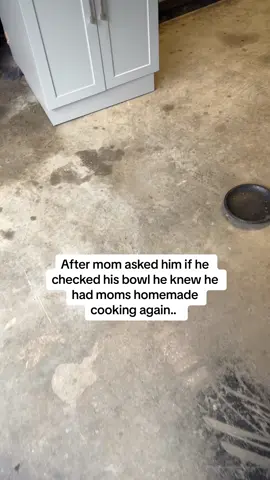 He started 🤤 on his way to the bowl… #momscooking #dogsoftiktok #goodboy #happydoggie #cooking 
