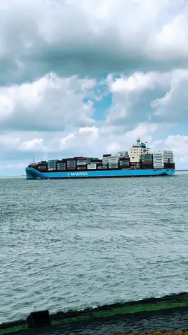 ✨MAERSK ✨ #mearsk #bigship #containership #vessel #shipspotting #worldwideshipping 