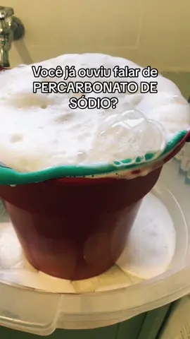 Esqueci de falar, mas comprei na shoopee mesmo, um saco de 1kg saiu bem baratinho!  @Home.zinha  #percarbonato #roupasbrancas #tiramanchas #panodeprato #limpeza #foryoupage #viral #donadecasa #casa #farmhouse 