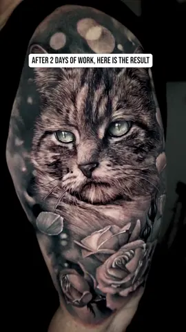 A new cat tattoo I done this week, hope you 'll like it 🥰#tattoo #cat 
