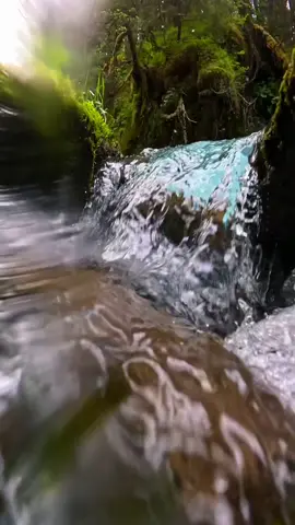 Beautiful and so clear 😍! Love these alaska rivers 