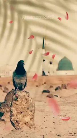 Yar humara Allah pak kitna kareem hai Na 🥺💚🚩💫#iloveuallahhh💕💕💕 #1likeeveryone #Allah #Loverz#muhammadi #500k #viral #unfreezemyacount @TikTok @TikTok UK 