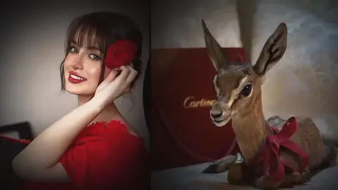 ,ٍهي اول احكايا وقصتي,ٍلاخيره ♥ . #البيضاء_الجبل_الاخضر#الشعب_الصيني_ماله_حل#شعراء_وذواقين_الشعر_الشعبي#شعروقصايد#شتاوي_غناوي_علم_ليبيه 