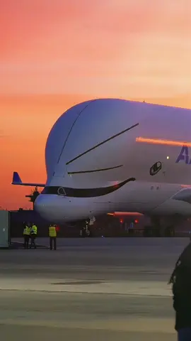 The Airbus Beluga 🥰 #aviation #airbus #airbuslovers #airbusbeluga #beluga #transport #extreme #megaplane #airport #viral #discover #plane #convoiexceptionel #airportlife #pilot #sunset #beautilful #skyadmirers 