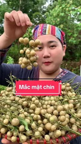 Rất là ngọt nhưng mà lại hơi chua ạ 😆 #caonguyendafood #nongsancaonguyenda #mangotngammacmat 