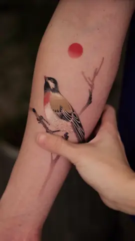 By Chenjie.newtattoo 👈 #birdtattoo #colortattoo #painterlytattoo #tattoos 