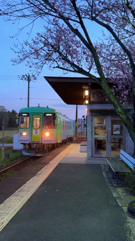 POV: it is 5 pm in Japan and you're on the way home...