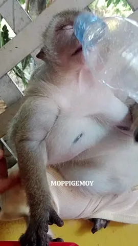 santtaaaiiii 🤭🤭🤭🤭😍😍😍🥰🥰🥰❤❤❤🤣🤣🤣🤣