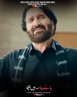 Shahdat e Hazrat ABBAS  #newnohaandqasida #viralvideo #viwesproblem #unfrezzmyaccount #foryou #viral #tranding 
