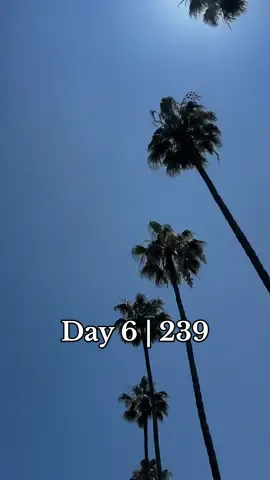 @Danielle | Food + Travel welcome to Day 6 | of changing my life 🤍 #showupforyourself #showupforlife #day6 #transformationchallege #buildingalifeilove 