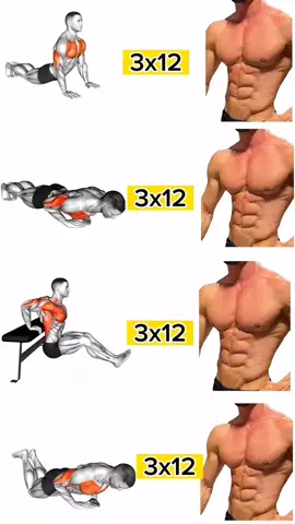 ULTIMATE At Home Chest Workout - NO Equipment Upper, Lower, Middle Exercises #Coreworkout #workout #pushupsworkout #absworkout #chestworkout #homeworkout 