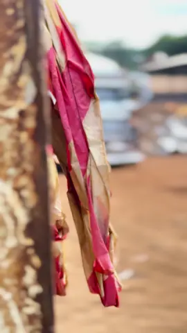 ไม่เจอกันเลยนะสุดหล่อ🤟 #ของดีเมืองอุทัย #สจโรงเหล็ก #ชมบงกช #ขุนดง #ทีเด็ดเสี่ย #ท้ายโรงหลอม😉 #ขึ้นฟีดเถอะ 