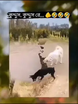 #viraltiktokbangladesh🇧🇩🇧🇩🇧🇩🇧🇩 #fypシ #foryourpage #foryou 