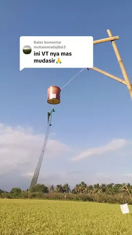 Membalas @muhammadajib63  pengusir burung Pipit dan tikus yg melegenda  #petani #petanimuda #petanimilenial #petaniindonesia🇮🇩🇮🇩🇮🇩🌿🌿 #fyp #foryou #foryoupage 