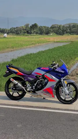 Walang 🦗 #ninjassr #ninjass #ninjar #ssr #kawasakissr #thailand 