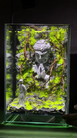 Tác phẩm : Thiện Ác 🙏 Hôm nay mình lên thêm mẫu bể cá ☘️ #terrarium #phatphapnhiemmau #becathuysinh #bểtiểucảnh 