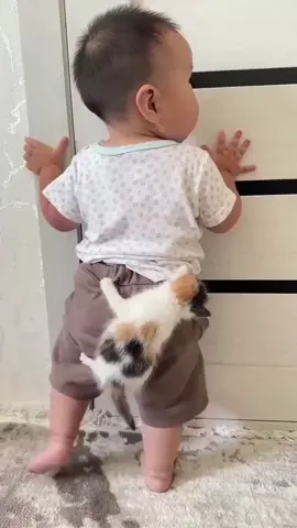 #paratii #fypシ゚viral #foryou #creatividad #tiktoker #viralizame #tiktok #sonido #viral #bebe #mascota #humor #risa 😍😂