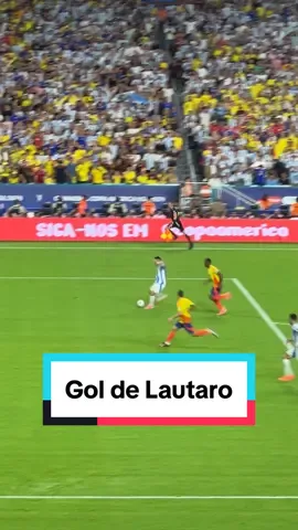En tiempo extra, el gol que le dio el campeonato a la albiceleste, al minuto 112, Lautaro Martínez puso a celebrar a la hinchada Argentina… ⚽️🇦🇷