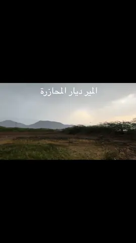 ديار عيال سدين #fyp #explore #الشعب_الصيني_ماله_حل😂😂 #المحازره #مسروح #مسروح_بن_عامر311 #تصويري #مطر #ابل #الجنوب 