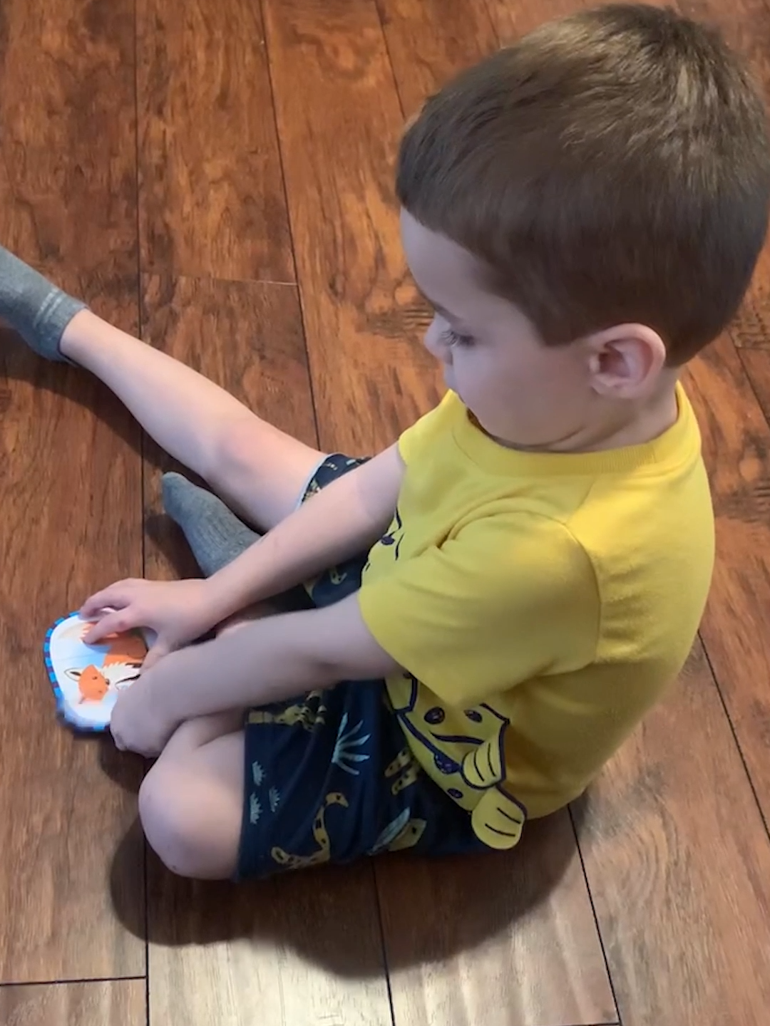 Yes, that absolutely spells raccoon 🦝😂 #afv #kidssay