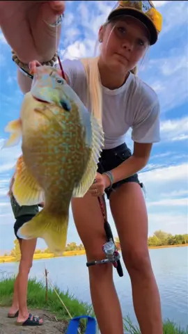 Few video clips fron last nights live 🐟🙌🏼 #Fishtok #fyp #Girlsfishtoo #duo #Bluegill #Bassfishing #Live 