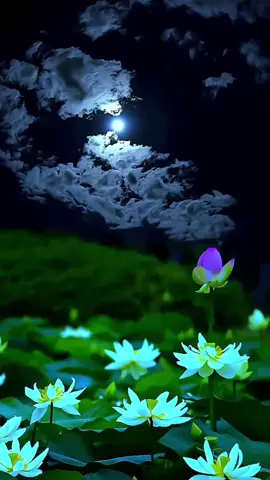 🤲🤲#ayzelayza💙💙🧿 