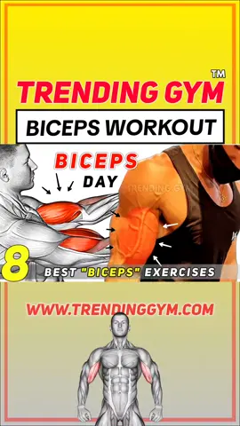 Biceps Day Exercises  #bicepsworkout #gym #Fitness #workout #trendinggym 