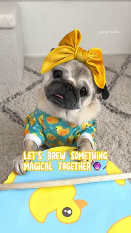 Let’s brew something magical together! 🔮✨ A friendly reminder that the Loulou & Ducky 2.0 Plush is available for only 14 more days — grab yours before it’s too late!! 🔗 in our biooo! 🐥🩵 #PetsOfTikTok #dogsoftiktok #pug 