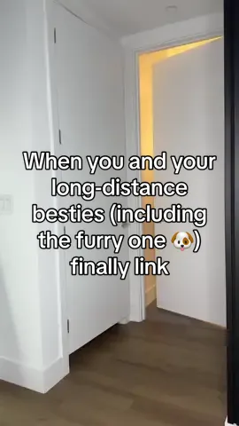 Reunited at last! When you and your long-distance besties (including the furry one 🐶) finally link up.  @poco @Amb @Tyler  #BestFriends #LongDistanceFriendship #Reunion #FurFriends #DogLovers #BFFs #FriendshipGoals #DogSquad #TogetherAgain #PetLovers #Besties #FriendshipReunited #DogLife #LinkUp #Fyp #Dogsoftiktok #Dog #Friends 