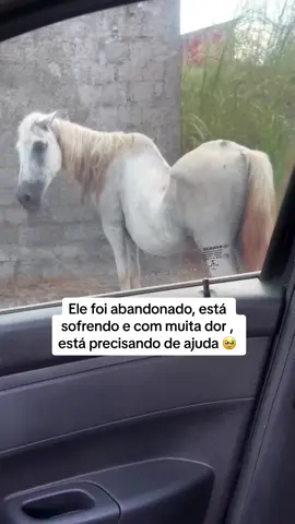 Maldade 🥹 #roça #fazendeiros #animaisderoça #roçaafazenda #fazenda #comidacaipira #comidaderoça #roçafazenda #cavalosminhapaixao 