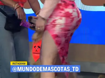 Norma García #normagarcia #telediario #multimediostv #parati #bellezademujer #conductora #lachicadelclima #telediariomx #tvabierta #tvmexico