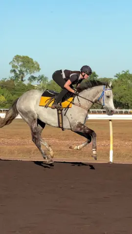 Last video i have of Cormorant (for now) 🤫 #horseracing #thoroughbred #jockey #horseracingedit #racehorses #racehorselife #horserace #greythoroughbred #horsesoftiktok #equestrian #horseracingvideo #foryoupage #edit 