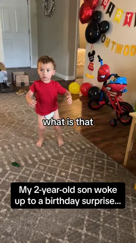 Best birthday surprise ever! 🥺🕷️ #RoadTo15Million #Pubity  (Jenna Griepenstroh via ViralHog)