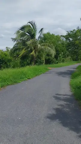 Trên nhửng nẻo đường#trennhungneoduong #nhachaymoingay #thinhhanh #grabbikevinhlong 