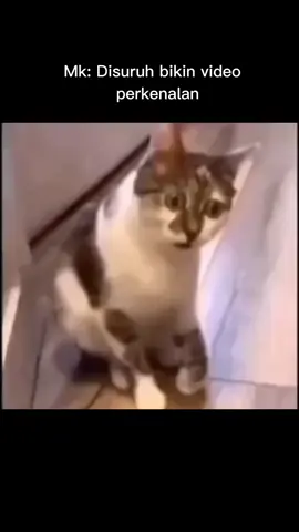 TUGAS PRA-PKKMB KEPERAWATAN SEMARANG 2024 Nama : NOVIA INDANA ZULFA No kelompok : 11 Nama kelompok : Hematoma Harapanku mengambil prodi keperawatan adalah ingin membantu dan merawat orang lain untuk sembuh Saya siap mengikuti serangkaian acara PKKMB keperawatan semaranag 2024 @HIMA KEPERAWATAN SEMARANG  #himaarkashara  #pkkmb24  #wearenurse  #beinglegend  #keperawatanpolkesmar24 