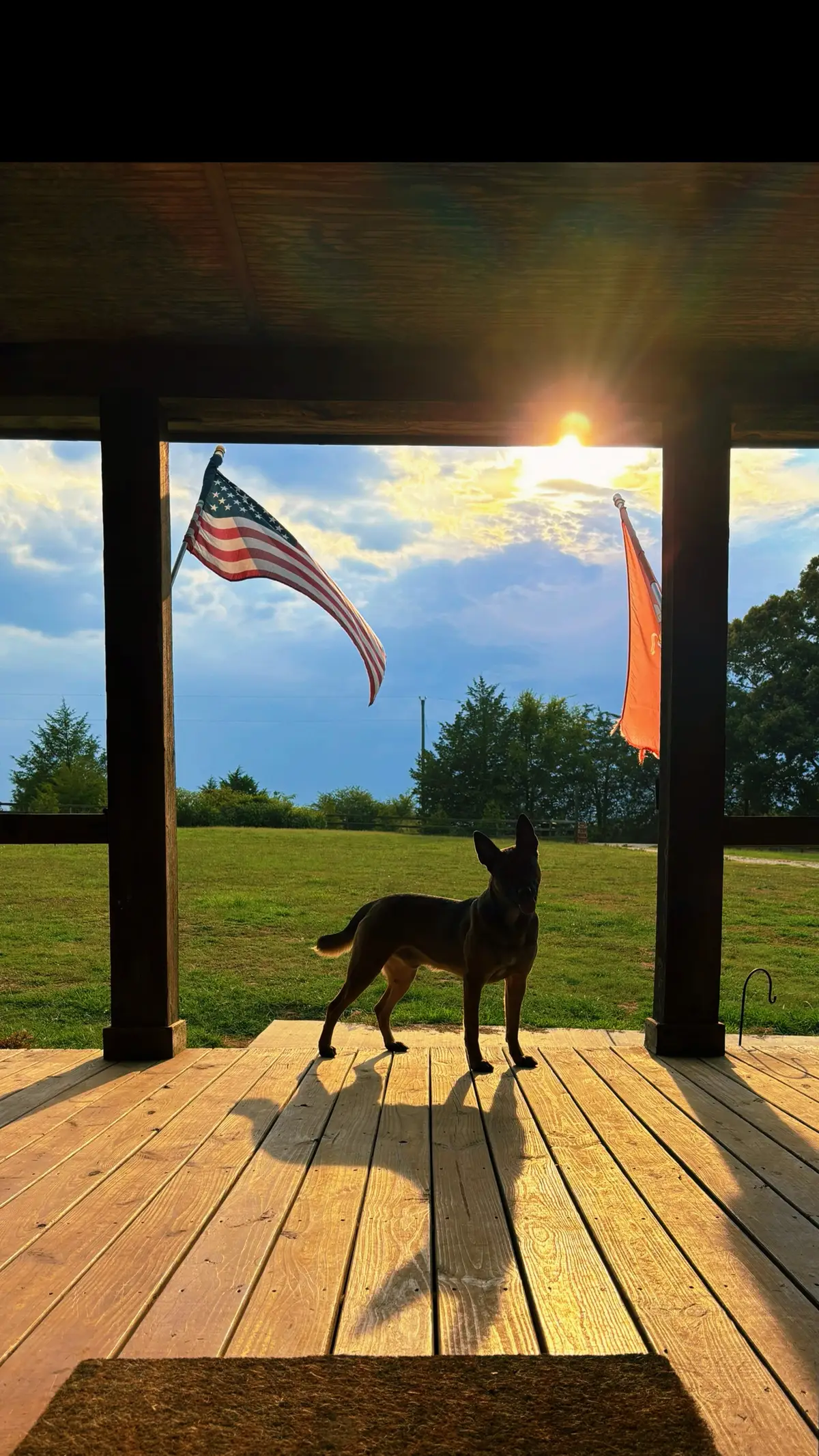 Still can’t believe that some people find what happened to be acceptable.  #nauti #nautilus #letsgetnauti #nautilusjames #nootnoot #nautiboi #noodieboi #nautiboy #maligator  #malinois  #malinoisoftiktok #belgianmalinois #belgianshepherd #dutchshepherd #workingdog #workingdoghandler #protectionsports #knpv  #psa #frenchring #DogTraining #mondioring  #shithandlersunite #worthlesshandler  #sportdog #furmissile  #k9 #bitesports  #landshark  #doghandler  #dogsoftiktok #protectionsportsassociation #ringsport #dogsports #fitdog  #k9fitness  #fyp  #foryou #foryoupage #americanpolitiehondassociation #workingdogsoftiktok #workingdogsofamerica #personalprotectiondog #dogoftiktok #dogoftheday #malinoisdog #protectiondog #biteyboy 