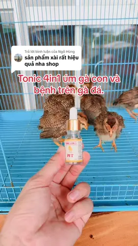 Trả lời @Ngô Hùng cảm ơn anh. Ae có thể trị bệnh 🐔 mọi độ tuổi, tuỳ theo thể trạng trọng lượng mình dùng liều lượng phù hợp.#gà_chọi_việt_nam #thucung🔔 #cửa_hàng_thuốc_thú_y_minh_trí #gàchọiviệtnam #tonic_4in1 #gàchoivietnam🇻🇳 #thú_y_việt_nam #xuhuong 
