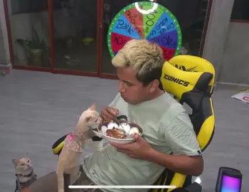 Gatos atrasan a Shuls comiendole su carne #shuls #humor #peru #gatos #mascotas #CapCut  