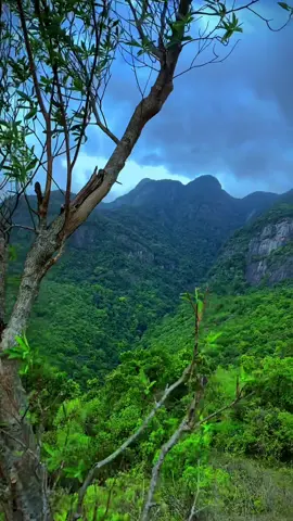 ලංකාවේ ලස්සනම... හුදකලාම ගම්මානය 😍 #naturelovers #naturelovers #travel #travelsrilanka #vibespositive #travelbloggerlife #travelling #naturebeauty #travelblogger #viralvideoシ 
