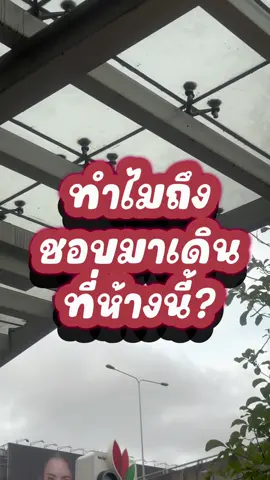 ห้างนี้ไปบ่อยมากกกก…เดอะไนน์ เซ็นเตอร์ พระราม 9 ที่โปรดของทุกคนในครอบครัว #TheNineCenterRama9 #MBKPLUS #สุขจุกจุก #เทรนด์วันนี้ #tiktokพาเที่ยว 