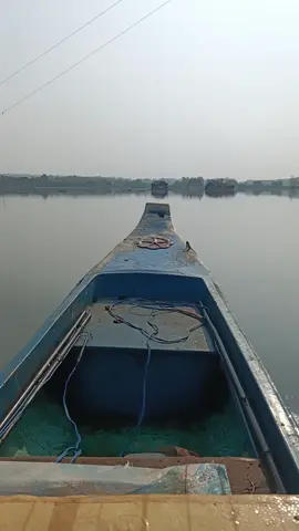 kím ít mồi 🐰🦝🐢🦔🐓🦅🐟🐟🦌🐒#xuhuong#giaitri #fyp #hồdautieng 