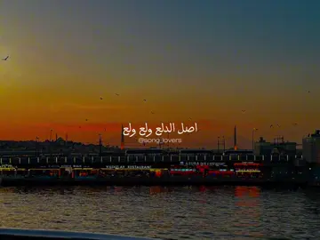 اصل الدلع ولع ولع #song_lovers  #بهاء_سلطان #اصل_الدلع  #اصل_الدلع_ولع_ولع #حب  #تصميم_فيديوهات🎶🎤🎬 