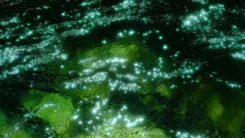 Vũ hội dưới hồ 🌿 #chillvibes #chill #thiennhien #phongcanh #green #water #niemchn_26 