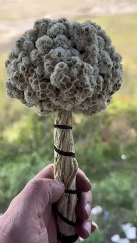 Ada Slam Dari Bromo Buat Kalian #fyp #fypシ゚viral #manggeind #bromo #gunungbromo 