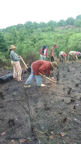 ដល់ខែដាំសណ្ដែកសៀងទៀតហើយ😁😊🥰🥰🥰
