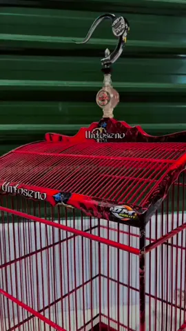 Sangkar DM quality kosan 40x40 stiker decal finishing clear insyallah awet 😁 #muraibatu #cucakhijaumania  #kenarimania #kacer #kacermania #cendet #kicaumania #kicaumaniaindonesia #sangkarburung #sangkar 