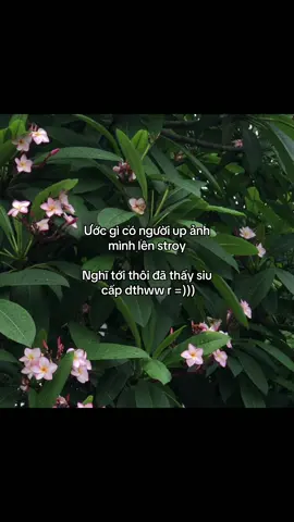 Dthww #xh #foryou #fyp #cnhae_03 