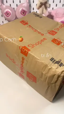 Hộp cam bí ẩn 🍊 #hopcambian #unboxing #review #fyp #xuhuong #viral 