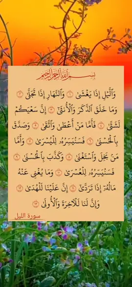 #لا_اله_الا_الله_محمد_رسول_الله🎧🌿🤍 #fypシ゚viral🖤tiktok☆♡🦋myvideo #نه_به_جمهوری_اسلامی #quran_alkarim📿🕊🌿🌹 #🕋📿🕌regay_islam🌼🦋🤲 